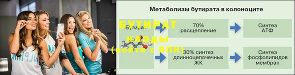 гидра Богданович